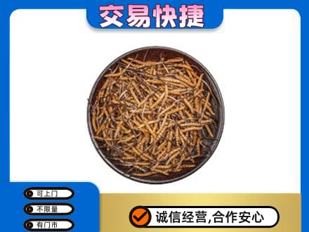 济宁泗水县高价回收散虫草